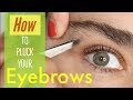 How to pluck your EYEBROWS