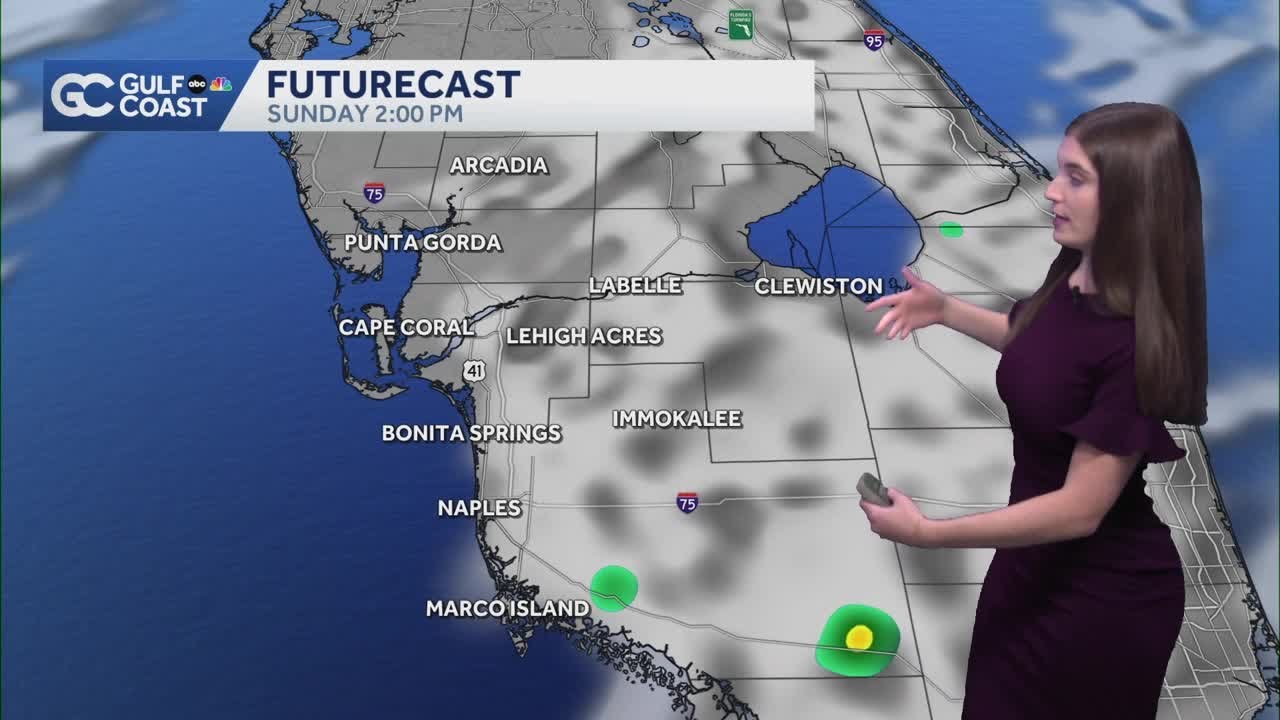 Seasonable temperatures and low rain chances for the Gulf Coast - YouTube