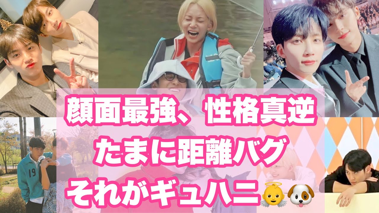 全てが真逆だけど仲良しそれがギュハニ🐶👼