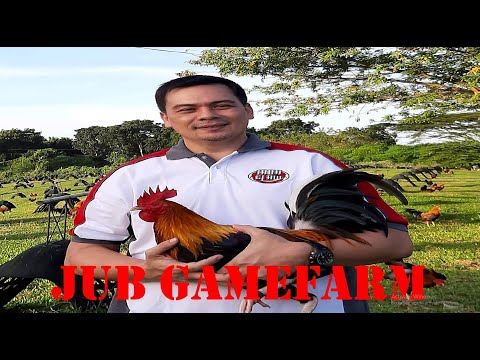 Lets Visit The Farm Of JUB GAMEFARM
