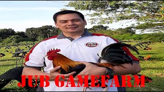 Lets Visit The Farm Of Jub Gamefarm