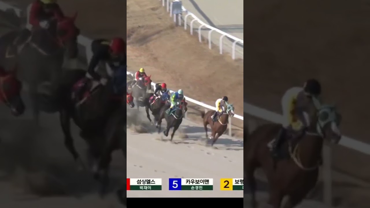 92배적중단승11.6번01055876275