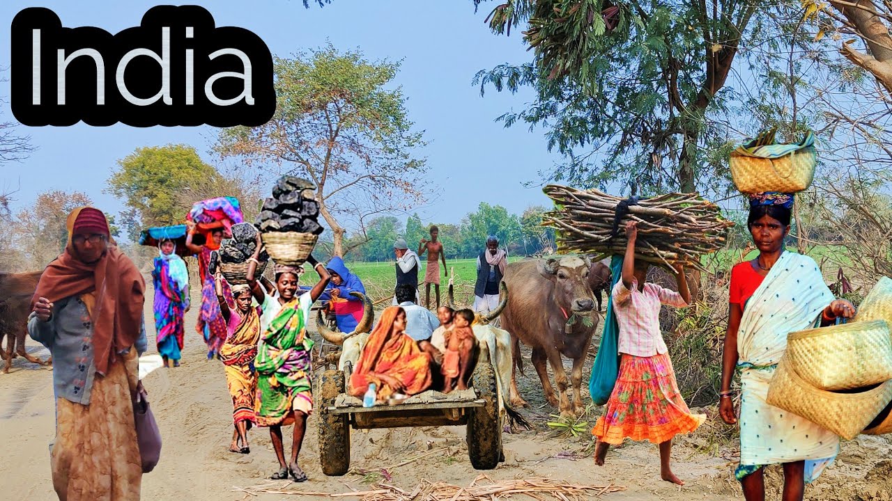 Real Life India of Uttar Pradesh in Rural Life Village Life People 