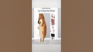 Con Trai Nhanh Như Thế Nào? 😂