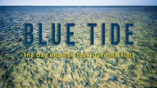 Blue Tide - The Day Bluefish Took Over The Flats