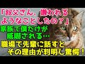 「叔父さん、嫌われるようなことしたの？」何故か家族で僕だけが威嚇された 職場の先輩に話すとその理由が判明して驚愕した！【猫のほのぼの話・朗読】