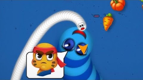 WORMS ZONE.IO PRO VS NOOB BEST KILLS  BIG SNAKE SAMP WALA GAME | VANILLA SNAKE | Official wormszone