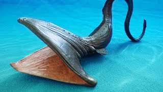 TOP 10 Strangest SHARK Species...