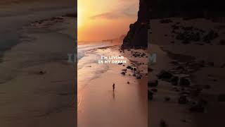 Am l dreaming? 💭✈️ #bolivia #indonesia #sulawesi #peru #adventurer #ocean# palmtree #clearwater