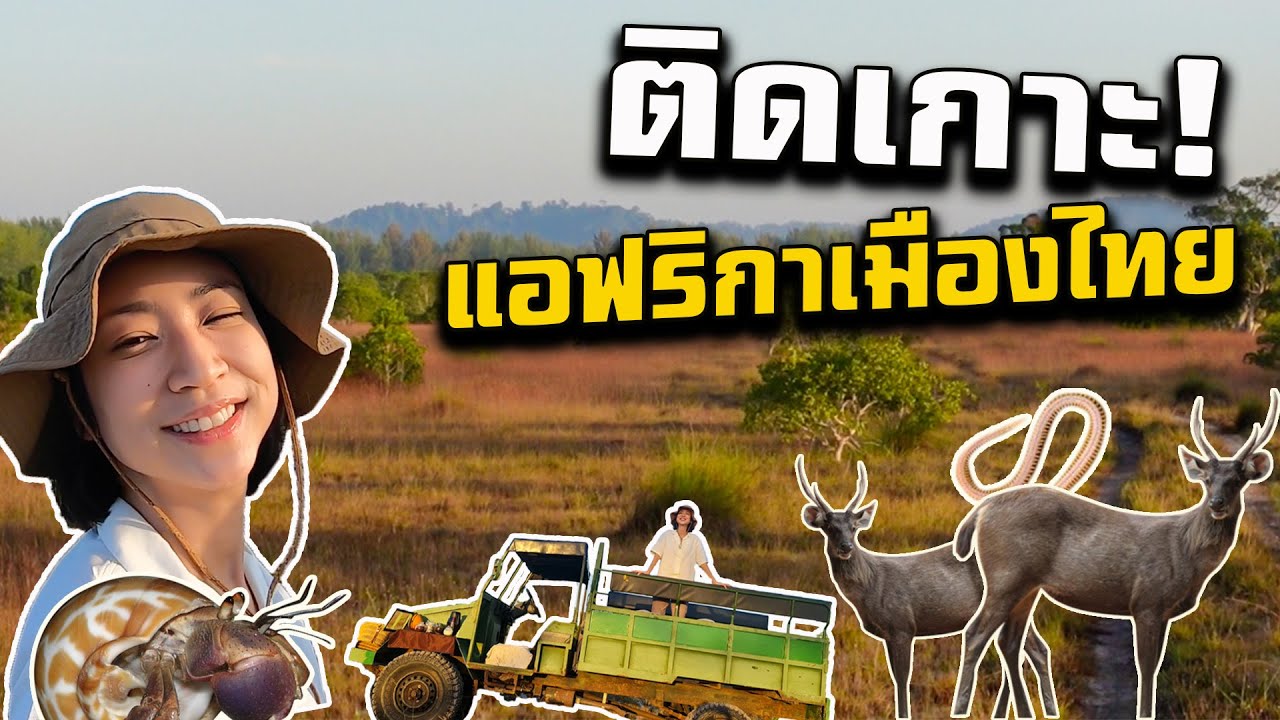 Safari on The Island, Phang Nga