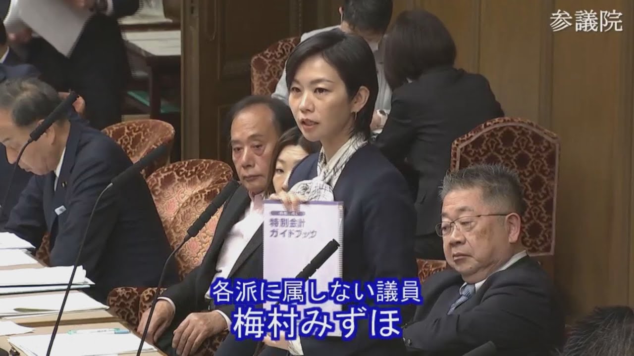 2025.05.15 財政金融委員会・質疑　梅村みずほ