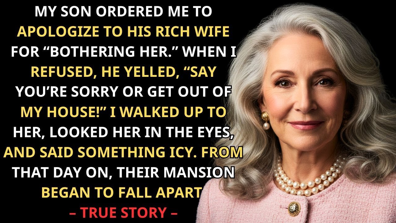 Мой сын заставил меня встать на колени и извиниться перед его богатой женой, но мои слова разруши...