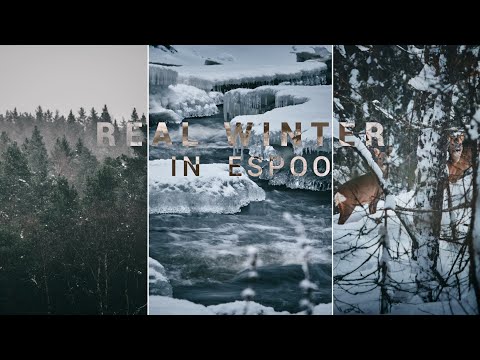 REAL WINTER in Espoo | 🇫🇮 FINLAND TRAVEL