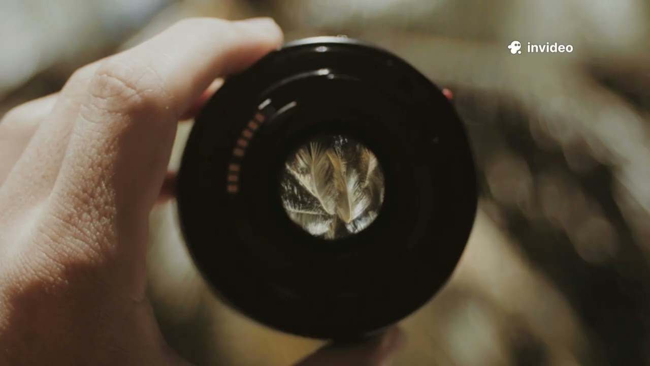 Stop Blurry Photos Now: 7 Fixes You Need