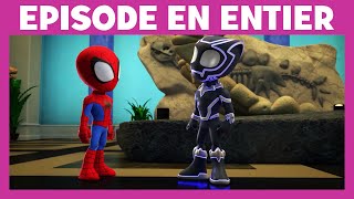 Spidey et ses amis extraordinaires - Moment Magique : La patience de Black Panther