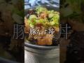 お米が消える。豚なす丼🥢
