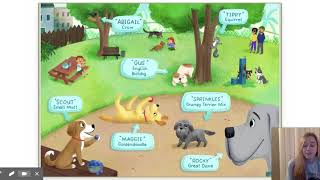 Bark Park