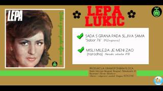 Lepa Lukic  Misli Mile da je meni zao  (Audio 1976)