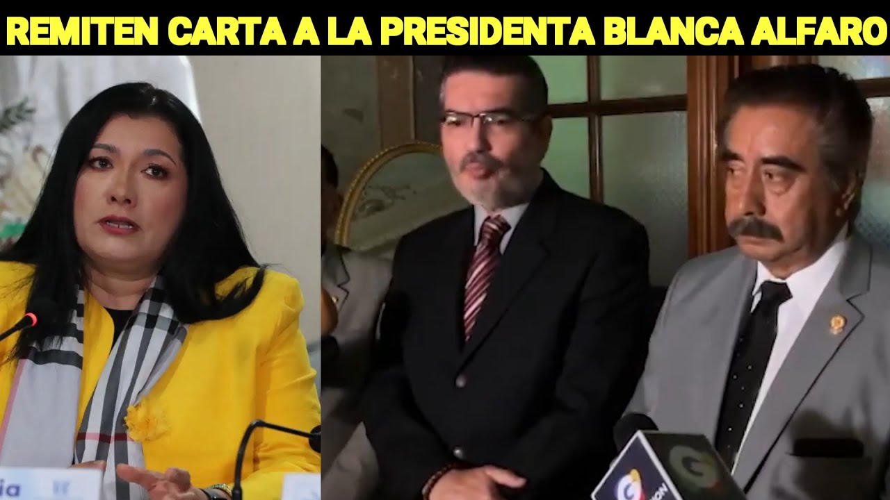 MAGISTRADOS SUPLENTES DEL TSE REMITIERON UNA CARTA A LA PRESIDENTA ...
