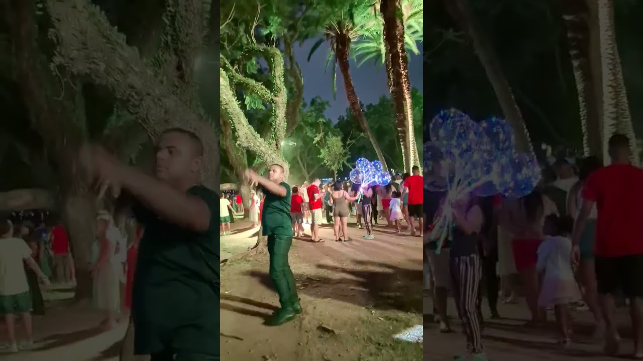 Luzes, público animado e árvore de Natal 🎄 no Parque Ibirapuera 