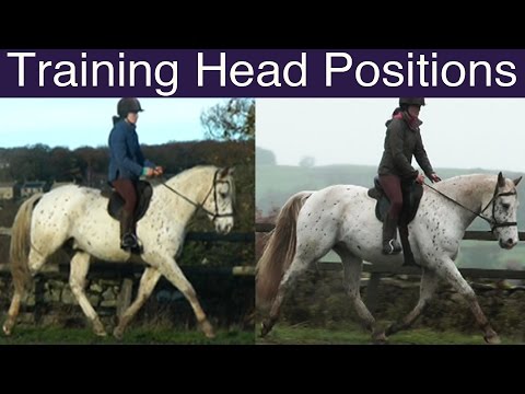 Longer and Lower - High and Collected: How to Train Head Positions