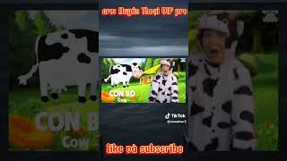 Chữ Cc Con Cak