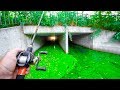 Fishing SECRET TUNNEL for URBAN SWAMP Fish!!! (Kicked Out)