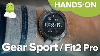 gear sport vs gear fit 2