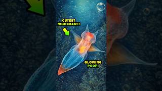 This Animal Has GLOWING POOP?! 💡💩