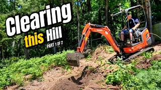 The Start of a Challenging Landscape Transformation | Part 1 of 2
