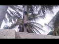 ಸೌರ ಬೇಲಿ Concrete wall L angler solar fencing kannada 94809 03110(WhA), 93806 03801