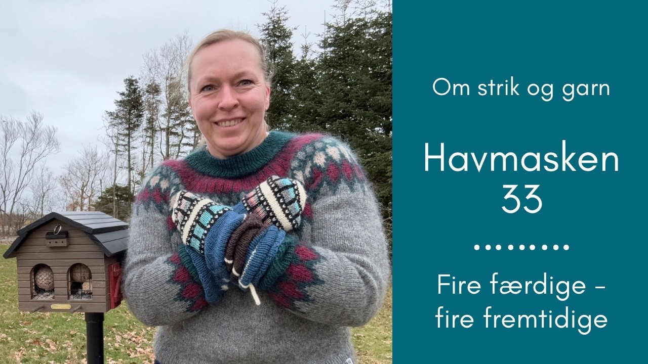 Havmasken 33 Fire færdige - fire fremtidige