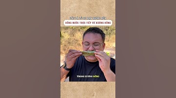 Lý do không nên uống nước trực tiếp từ xương rồng #shorts