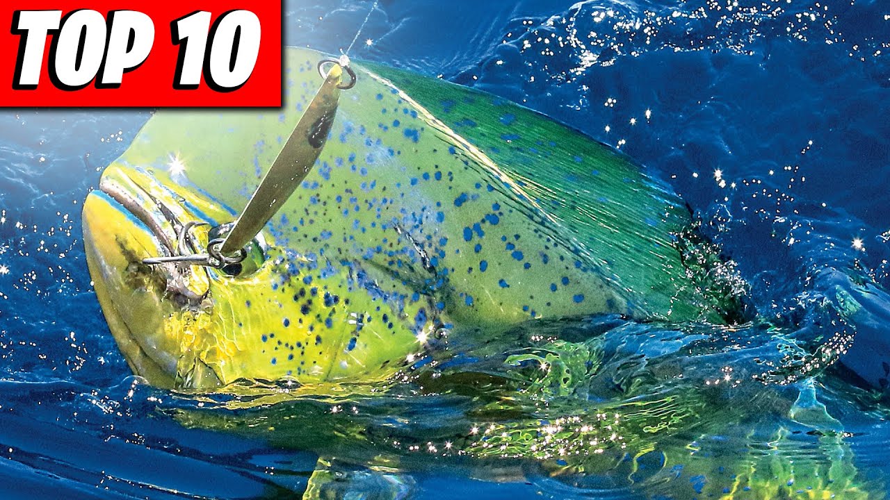 TOP 10 Saltwater TROLLING lures {BEST VALUED LURES}