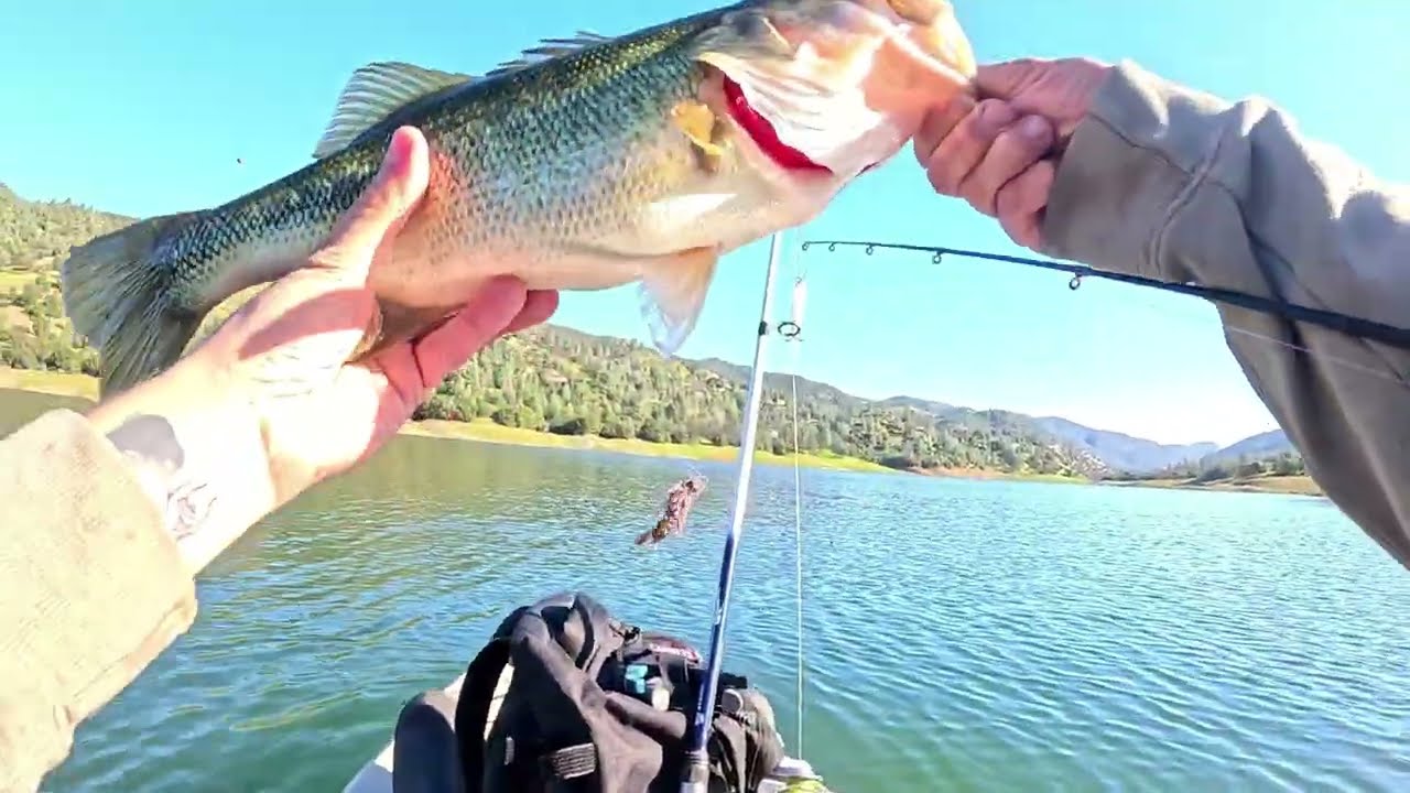 Catching Large Mouth Bass from Kayak in the High Sierra Mountains!