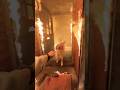 Man Risks Life to Rescue Trapped Dog from Burning House! 🥺🔥#shorts