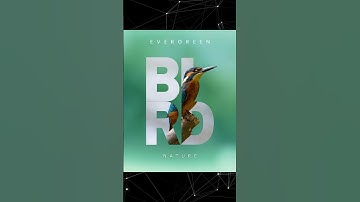 Canva Hack #canva #canvatutorial #canvahacks #shorts