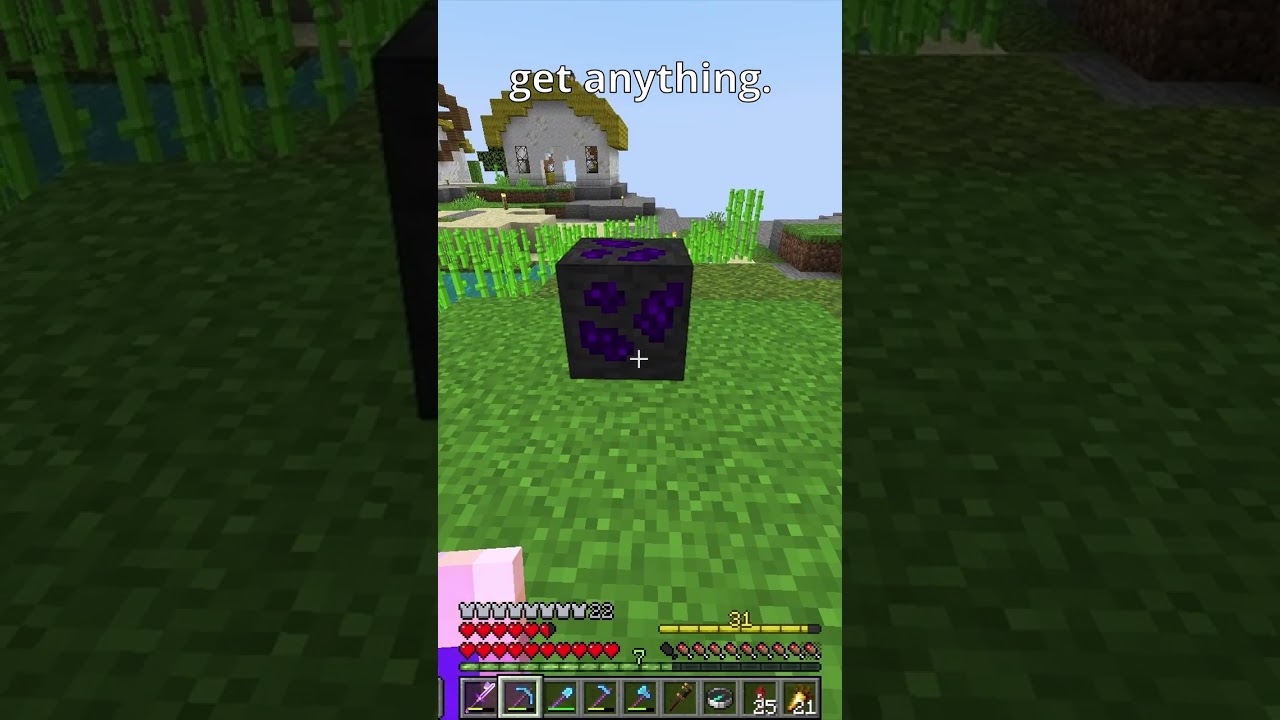 Fortuning my first ever echo ore! - Vault Hunters 1.18