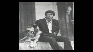 Townes Van Zandt - A Song For...