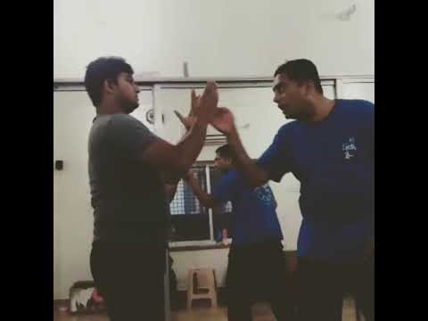 power generation sky factory 4 Sifu Joshi showing Snake Crane Wing Chun speed