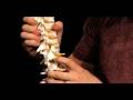 YogAnatomy Vol.2 David Keil Yoga