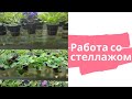 Работа со стеллажом