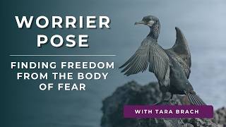 Tara Brach | Worrier Pose: Finding Freedom from the Body of Fear