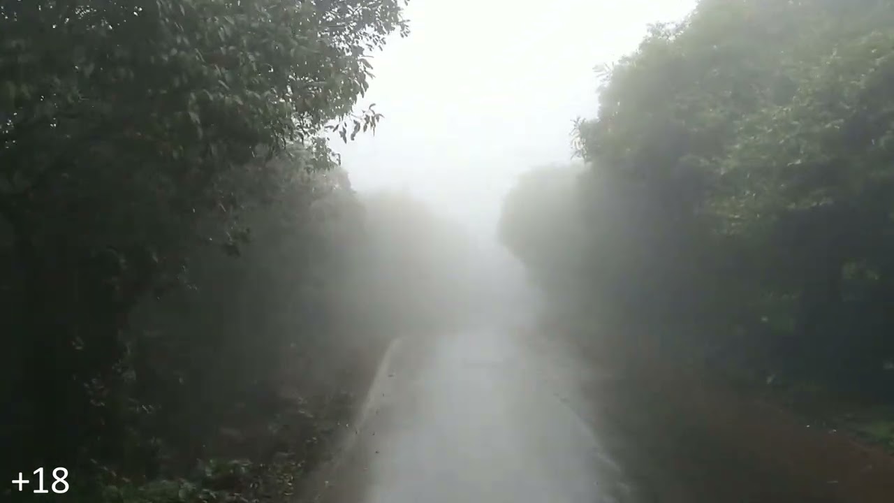 дождь в лесу слушать для сна