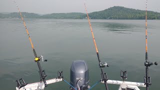 The Truth About Catfish Rods 