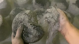 Crunchy bowls dry floor crumbling/#asmr #relaxing🌪