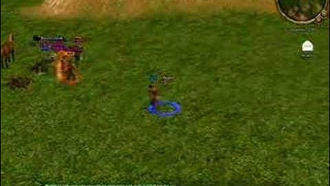 Metin2 MMORPG Kampf zwischen mir und den gelben