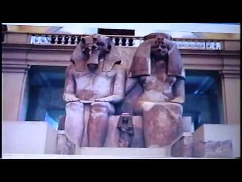 Dr Ray Hagins Stolen Story