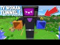 Which LAVA vs WATER TUNNEL INSIDE TV WOMAN HANDS IS BETTER in Minecraft ? SECRET TV WOMAN PASSAGE !