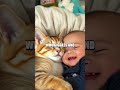 The Unlikely Adventures of a Cuddly Cat and Its Quirky Friends